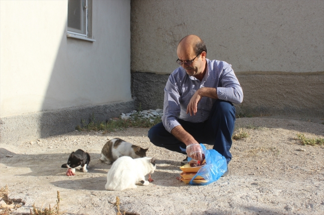 Yolunu gözleyen kedileri ciğerle besliyor